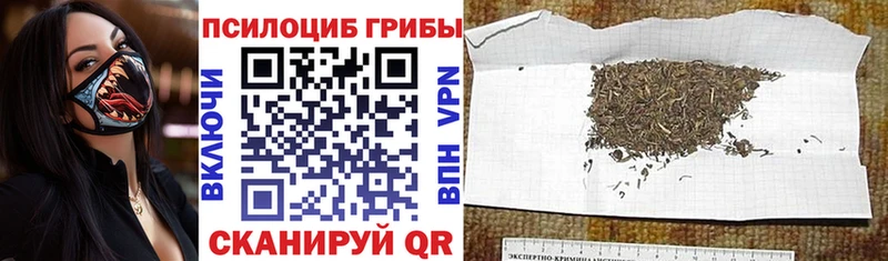 Галлюциногенные грибы GOLDEN TEACHER  Купить где  Воркута 